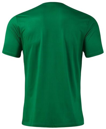 Мужская теннисная футболка Joma Picasho Short Sleeve - green black
