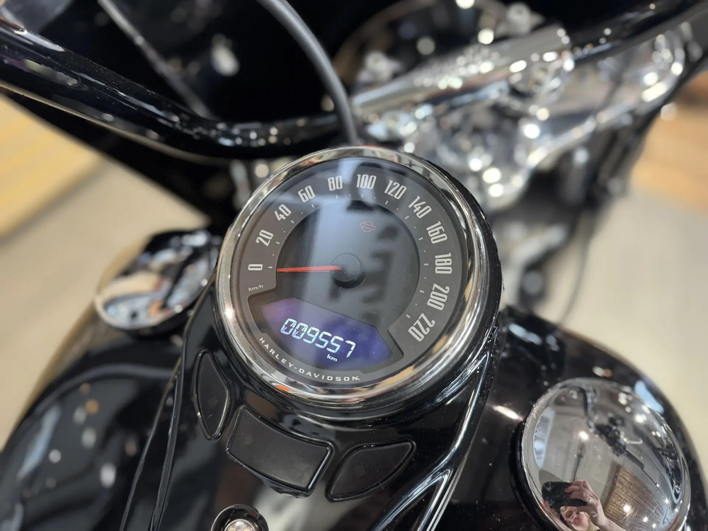 Harley-Davidson Heritage 114