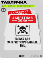 Табличка для частной территории "Запретная зона", на дом, для участка, организаций и частных территорий, предупреждающая, 40х30 см, Silver Plane x Айдентика Технолоджи