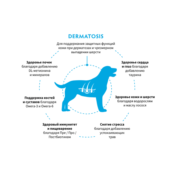 Сухой диетический корм Grandorf Veterinary Diet Dog Dermatosis для собак с заболеваниями кожи