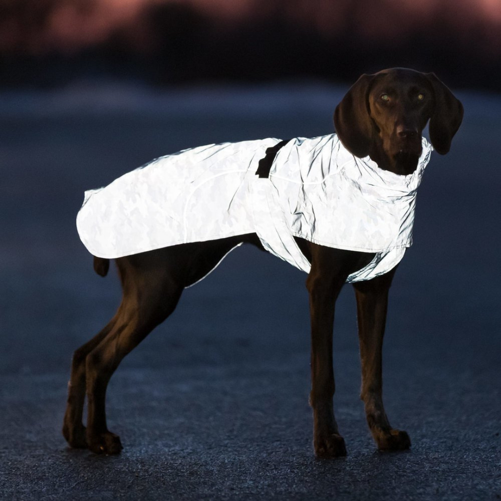 Попона-дождевик светоотражающая Lunas Trixie