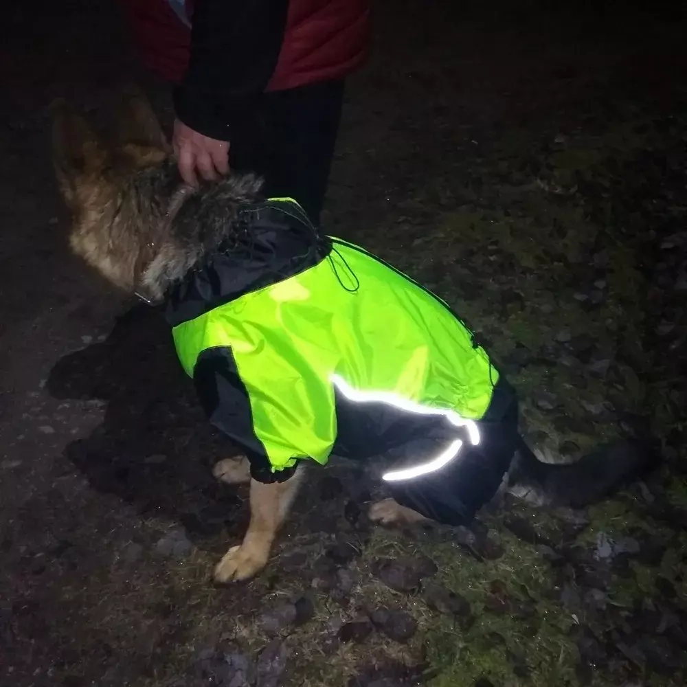 Комбинезон дождевик демисезонный для собак White Wolf вырез на мальчика лимонный-чёрный