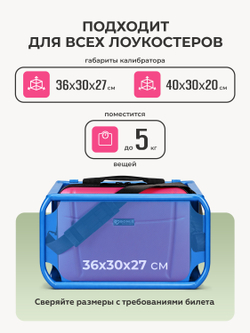 Чемодан L с кейсом в комплекте Розовый