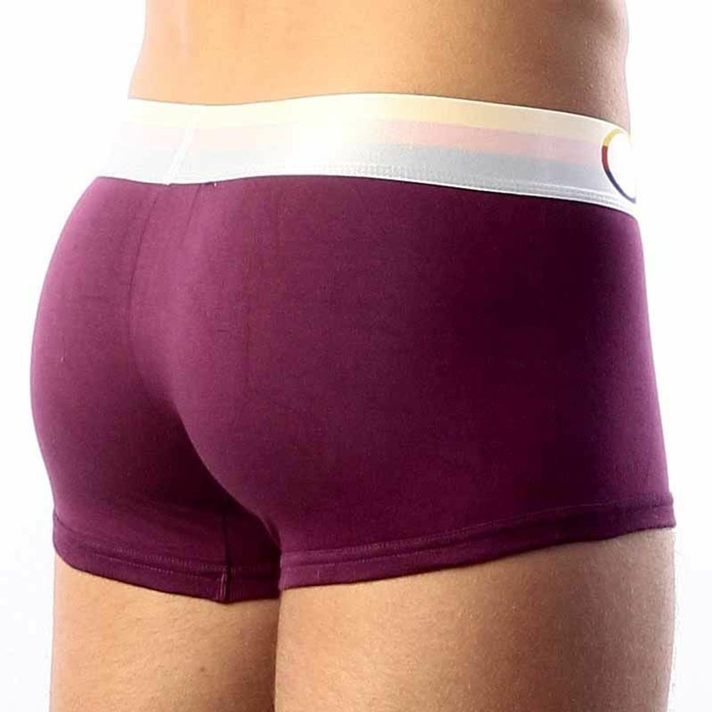 Мужские трусы хипсы Calvin Klein Steel Multicolor Purple