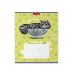 Тетрадь 12л., клетка, Erich Krause скрепка, блок офсет, мелованный картон "Жидкие коты", ассорти