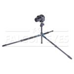 Falcon Eyes Arctic Line 517 SBH-5x