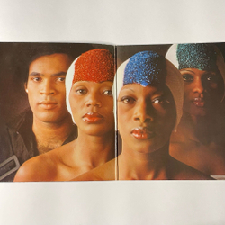 Винтажная виниловая пластинка LP Boney M Nightflight To Venus (Germany 1978) Painter Man