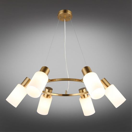 Люстра подвесная OML-69103-06