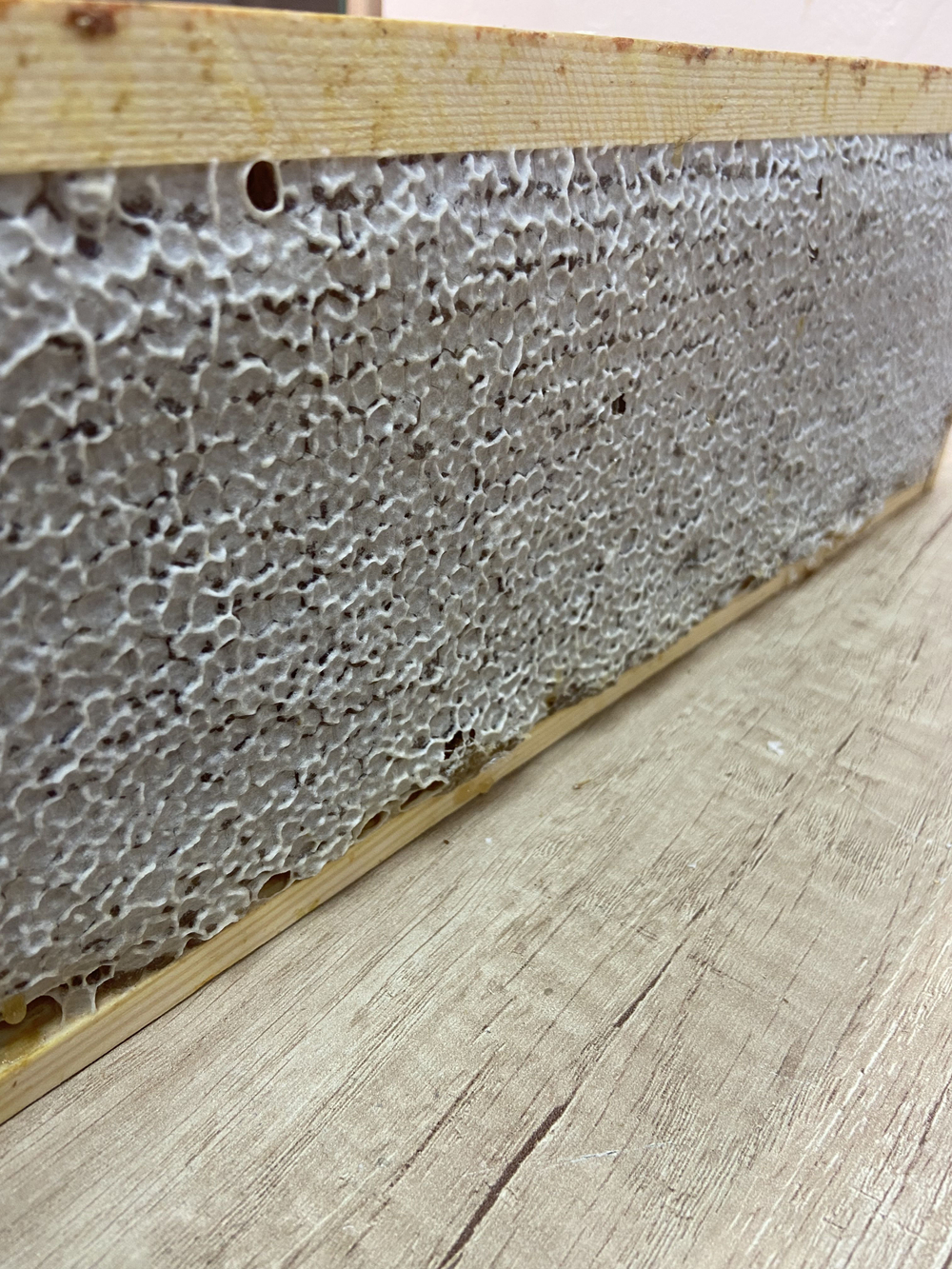 Мёд цветочный в мини- сотах разнотравный, Алтайский край, 385-490 гр.