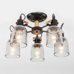 Потолочная люстра со стеклянными плафонами 70111/5 черный