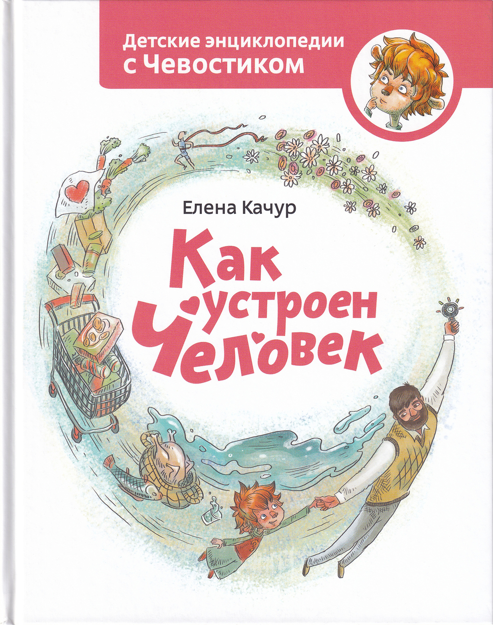 Как устроен человек