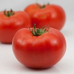 ПАНЕКРА F1 семена томата (Syngenta | Alexagro)