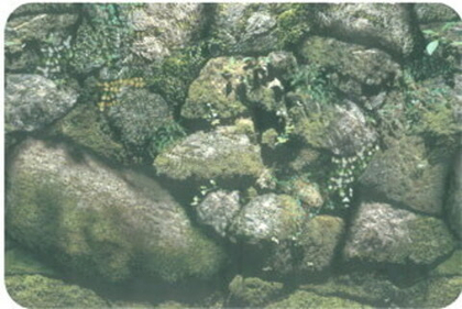 АКВА ЛОГО Фон односторонний Камни, высота 30 см