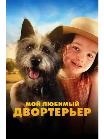 Мой любимый двортерьер (2024) (DVD-R)