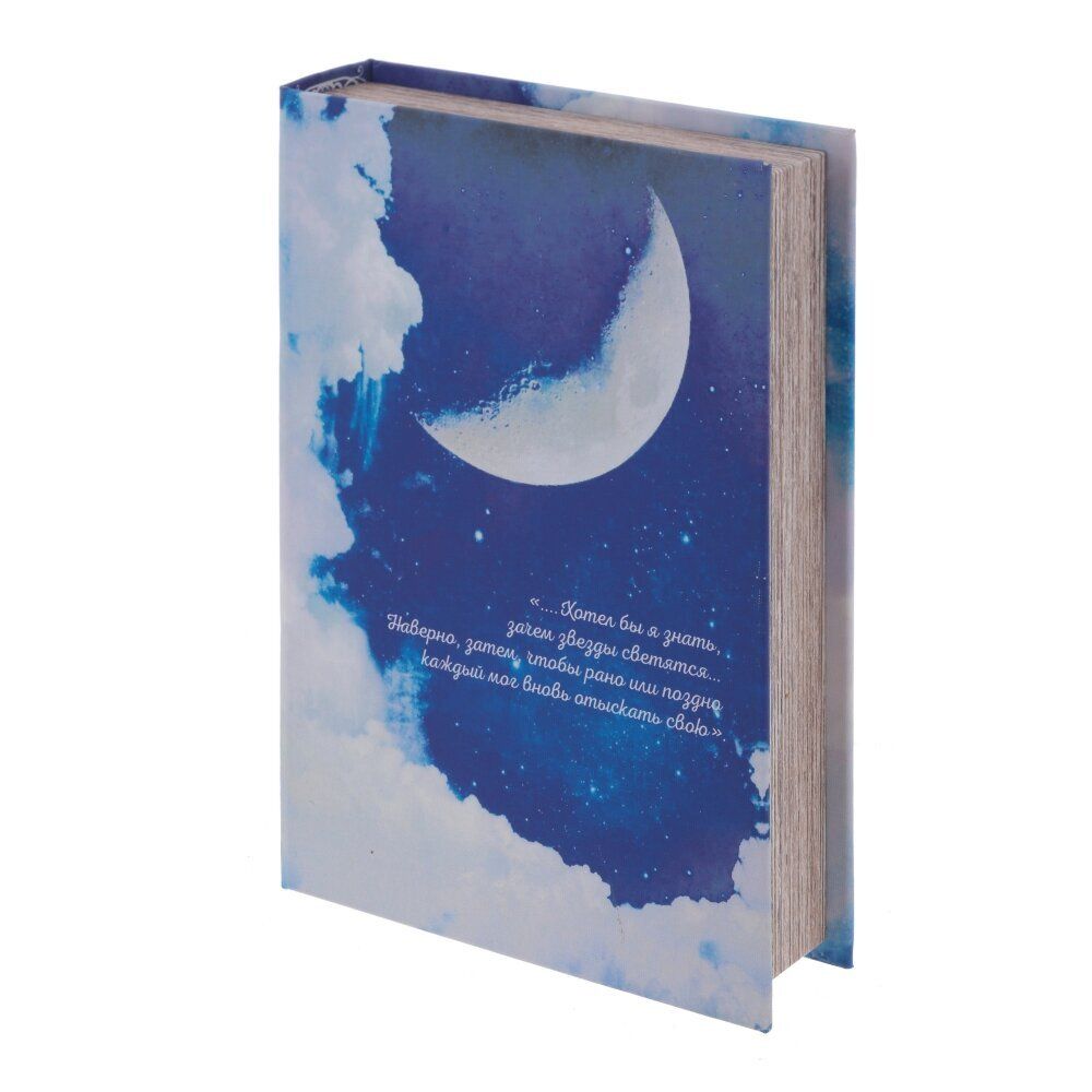 GAEM Шкатулка-книга, L16,5 W4,5 H26 см