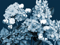 HERBARIUM 8