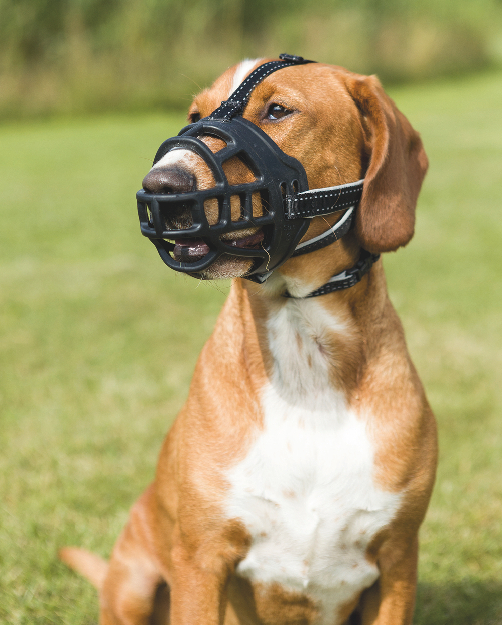 Намордник для собак Trixie Muzzle Flex, размер 3