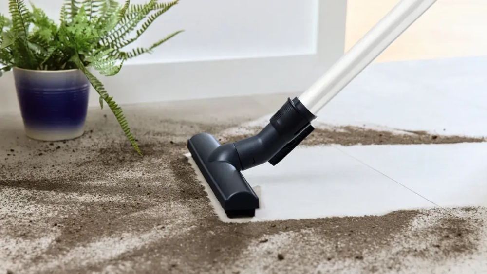 Пылесос Bosch BGL8HYG2