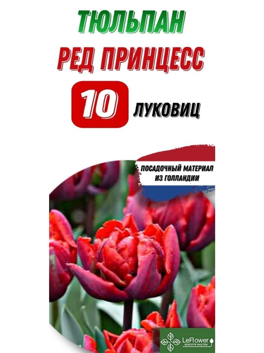 Тюльпан Луковица, Ред принцесс, 10шт