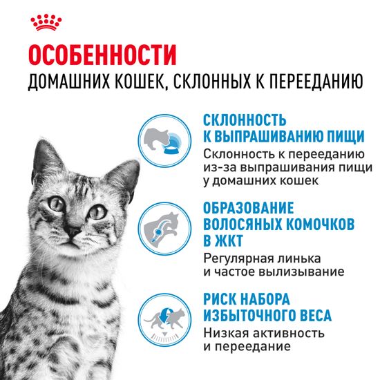 Royal Canin Indoor Appetite Control для взрослых домашних кошек и котов, склонных к перееданию