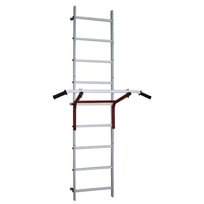 Детский спортивный комплекс ДСК ЛБТ Турник широкий хват 450 мм Цветные перекладины