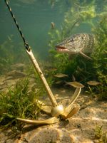 Якорь складной 3.5кг с якорной намоткой, толщина 8мм, длина 30м