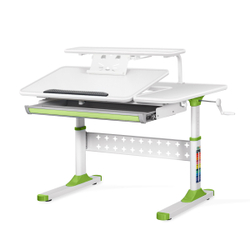 Письменный стол для школьников Ergokids Aspen с полкой S-50