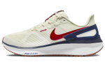 Кроссовки Nike Zoom Structure 25