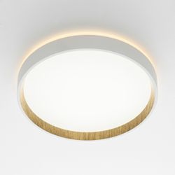 Citilux ETALON CL750240 LED Светильник с подсветкой Белый+Бук