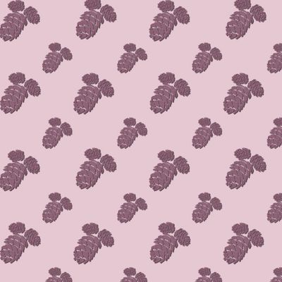 Сосновые шишки