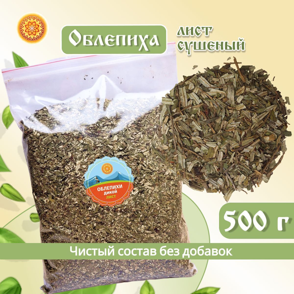 Лист облепихи.