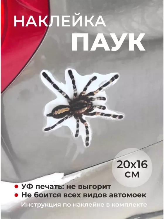 Паук - наклейка на авто
