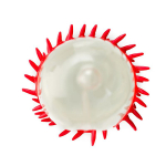 Презерватив с усиками Штучки-дрючки №6 Стимулирующая штучка 1шт