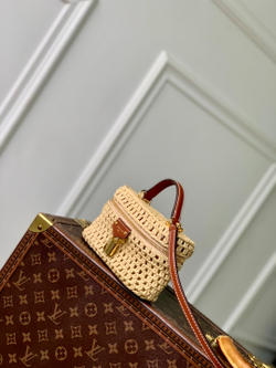 Louis Vuitton Vanity Chain Pouch