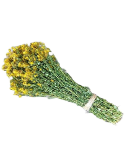 Веник для бани Зверобой Пучок