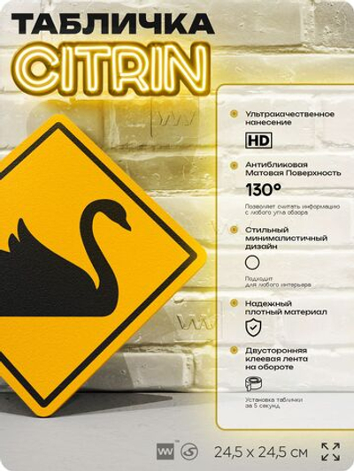 Табличка прикольная "Осторожно, лебеди" на дверь и стену, информационная и предупреждающая, декоративный знак, 24,5х24,5 см, пластиковая, Айдентика Технолоджи