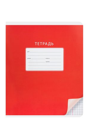 Тетрадь 18л., клетка ArtSpace "Однотонная. С уголком" 1