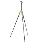 Falcon Eyes Green Line 1550 BH-10