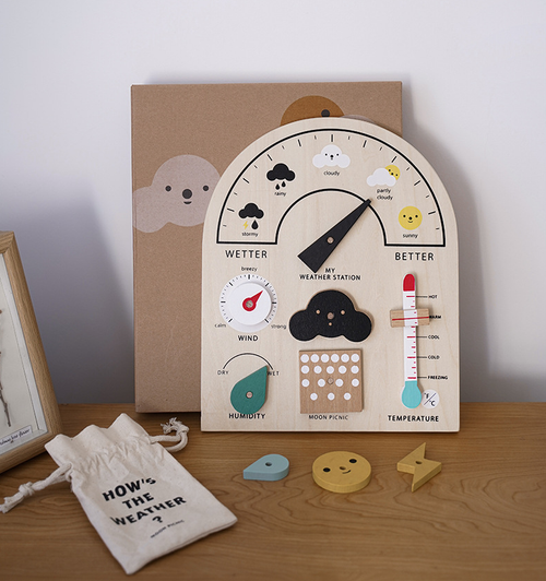 Деревянный набор для изучения погоды