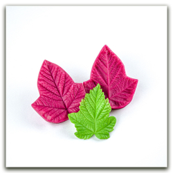 Листья пузыреплодника калинолистного большие