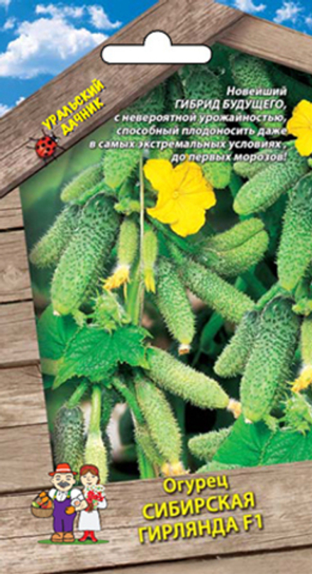 Огурец Сибирская гирлянда F1 Уральский дачник