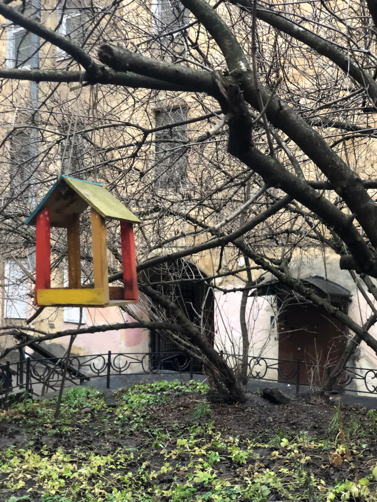 Ноябрь.. медленный ритуал умирания старого года…