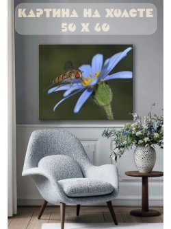 Картина на стену 40 X 50 Насекомое и цветок