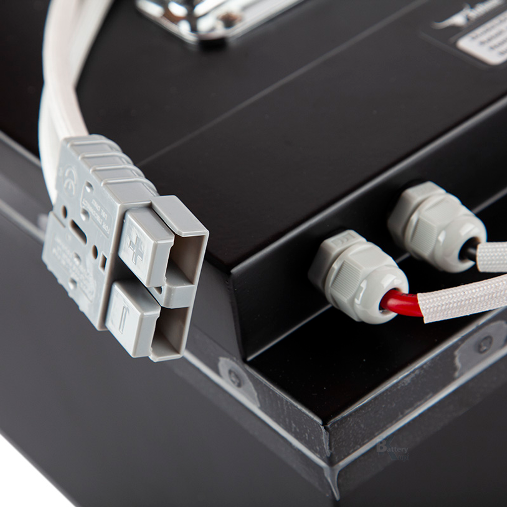 Литий-железо-фосфатный Аккумулятор RuTrike (LiFePo4) 60V32A/H(50A)