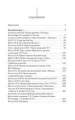 Великая война. Российский флот в 1914–1917 гг.