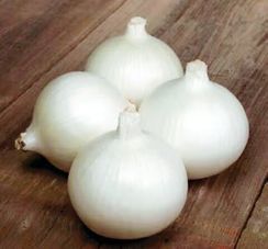 БЕЛЛО БЛАНКО F1 семена лука репчатого (Sakata | Alexagro)