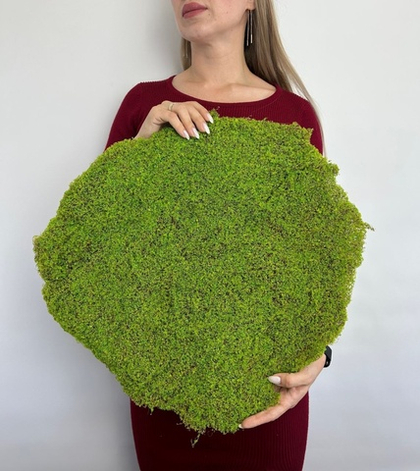 Панно из искусственного мха на синтетической подложке / Арт 9035