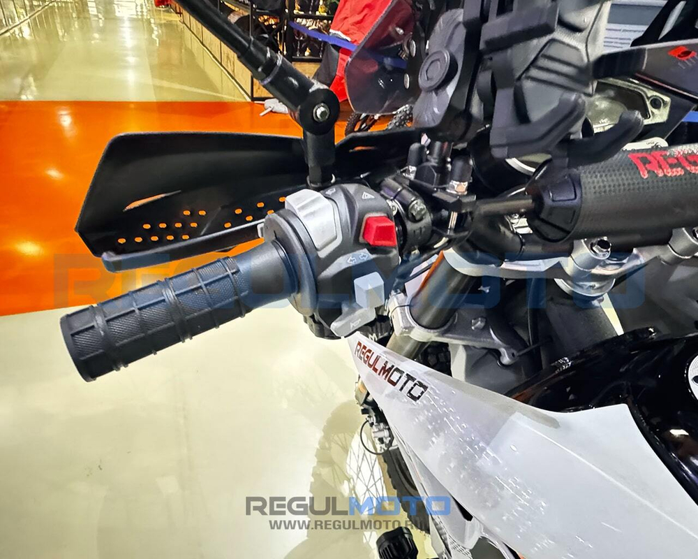 Мотоцикл Regulmoto TE PRO NB300
