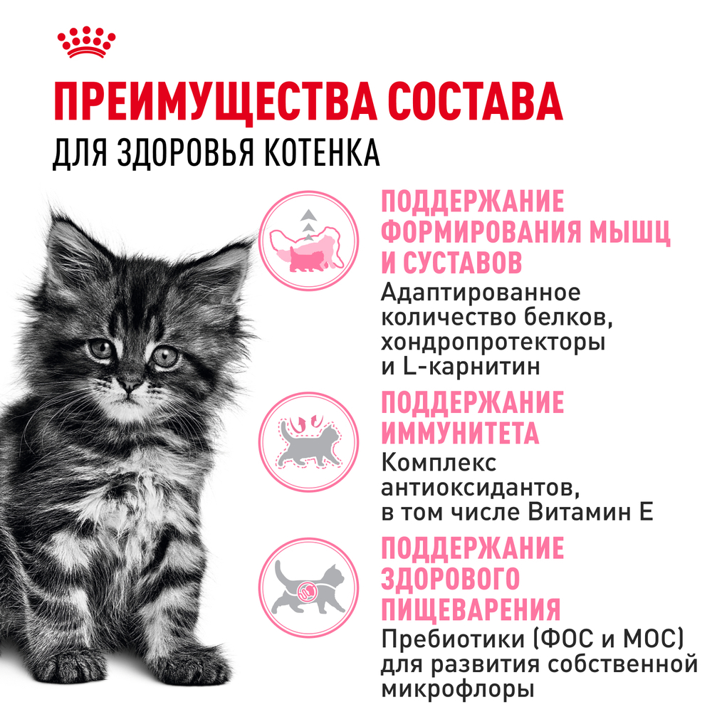 Royal Canin Maine Coon Kitten Корм сухой сбалансированный для котят породы Мэйн Кун - 0,4 кг