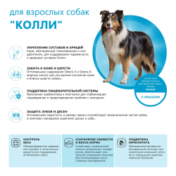 Корм сухой для взрослых собак породы Колли, премиум полнорационный комплекс, с лососем, 2,5 кг, QUATTRO